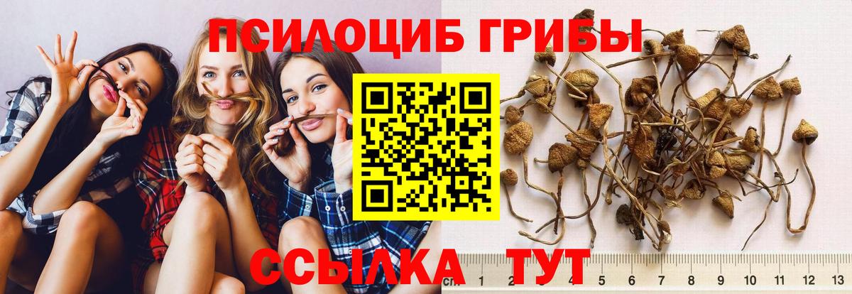 Псилоцибиновые грибы Magic Shrooms Лесозаводск
